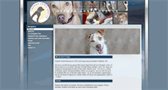 Desktop Screenshot of orphanannierescue.org